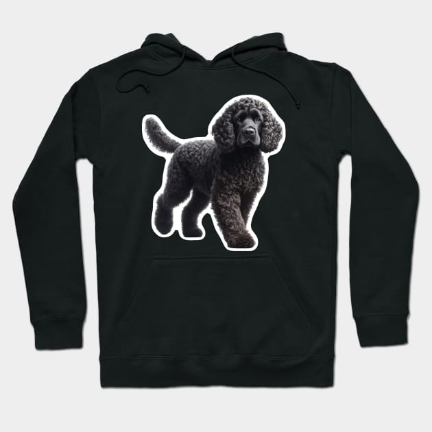 American Water Spaniel Hoodie by millersye